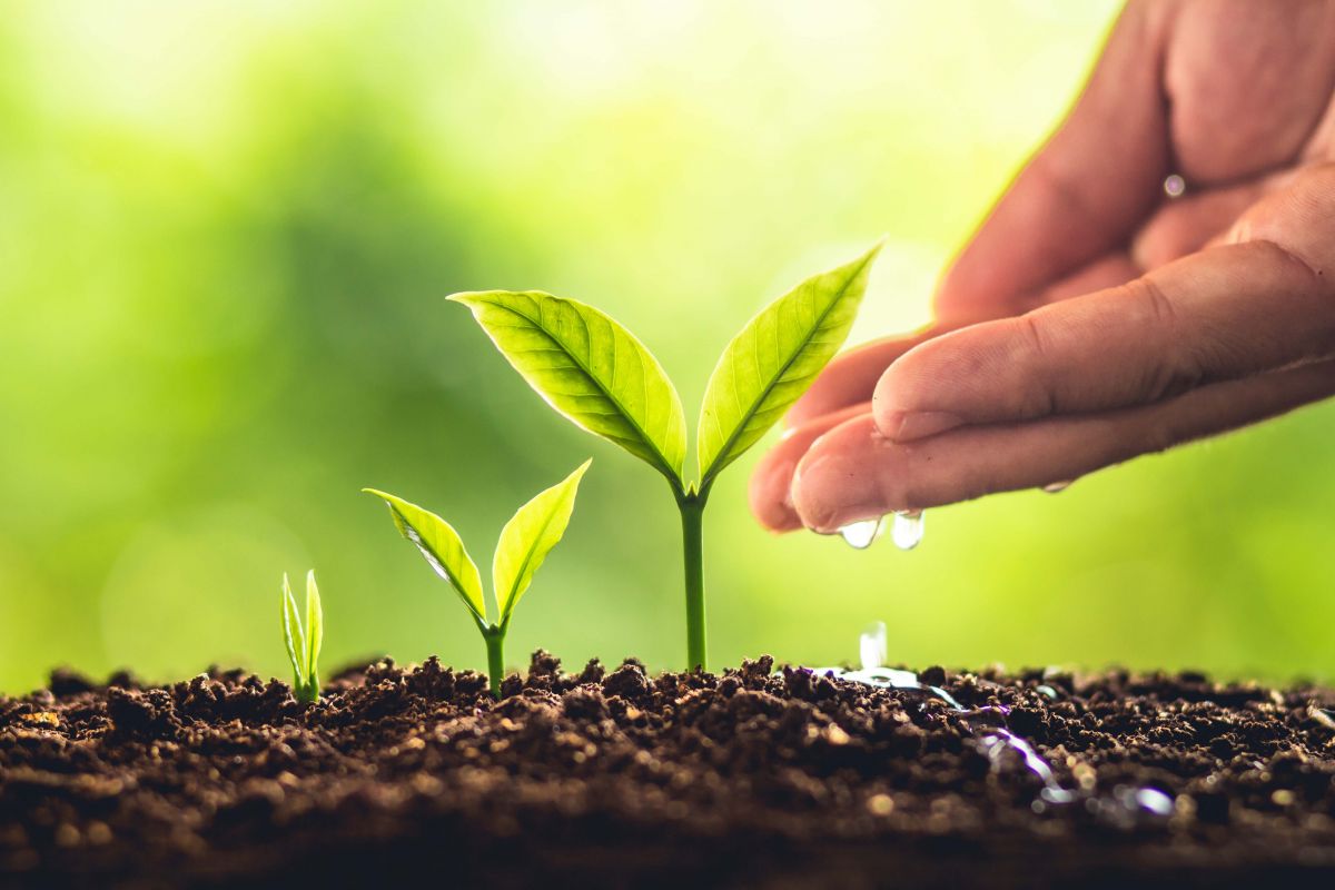 Créer votre entreprise : Le bilan de compétences pour créateur Créer votre entreprise : Le bilan de compétences pour créateur